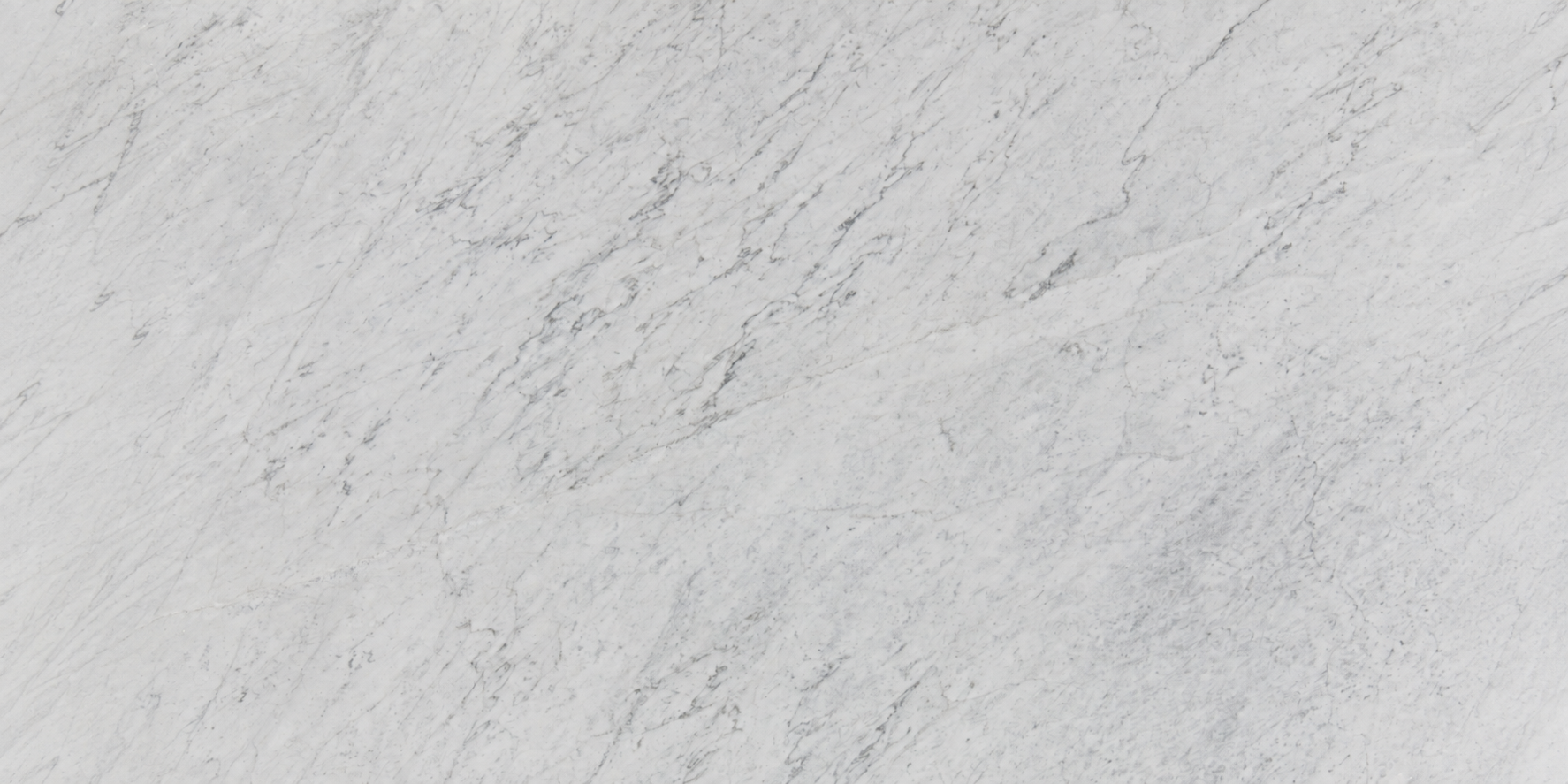 carrara plus Hero